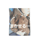 dem3（個別スタンプ：31）