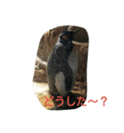 動物園の可愛い動物スタンプ（個別スタンプ：2）