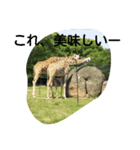 動物園の可愛い動物スタンプ（個別スタンプ：3）
