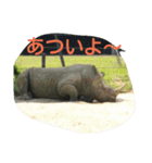 動物園の可愛い動物スタンプ（個別スタンプ：4）