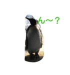 動物園の可愛い動物スタンプ（個別スタンプ：8）