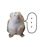 フサフサハムスター ちみー（個別スタンプ：14）