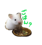 フサフサハムスター ちみー（個別スタンプ：16）