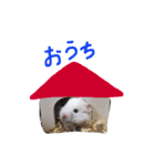 フサフサハムスター ちみー（個別スタンプ：22）