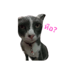 milo67（個別スタンプ：5）