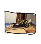 安藤里香子という成分（個別スタンプ：25）