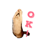 Morikun GOGO2（個別スタンプ：1）