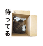 Morikun GOGO2（個別スタンプ：2）