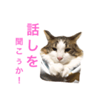Morikun GOGO2（個別スタンプ：6）
