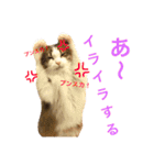 Morikun GOGO2（個別スタンプ：18）