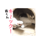 Morikun GOGO2（個別スタンプ：23）