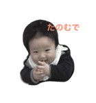 ayapan5m（個別スタンプ：8）