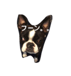 Dairy life of Terry（個別スタンプ：7）