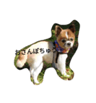rikochip（個別スタンプ：2）