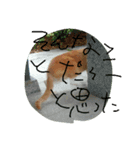 身近にいそうな ねこといぬ（個別スタンプ：4）