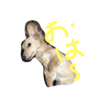 サリーの日常（個別スタンプ：8）