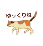 ねこ ですねん（個別スタンプ：8）