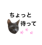 灰色猫のミュウちゃん（個別スタンプ：6）