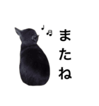 灰色猫のミュウちゃん（個別スタンプ：8）