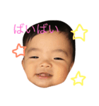 chizutan（個別スタンプ：6）