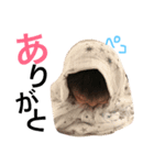 ゆづきのスタンプです♪（個別スタンプ：6）