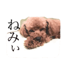 まいにちるいくん（個別スタンプ：2）