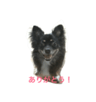 ちょび鉄のつぶやき（個別スタンプ：7）