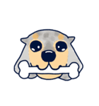 わが家のマロン（個別スタンプ：1）