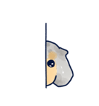 わが家のマロン（個別スタンプ：21）