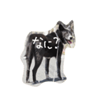 看板犬クロさん（個別スタンプ：8）