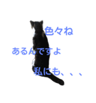 猫のにゃーだ（個別スタンプ：4）