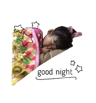 こと2017（個別スタンプ：5）