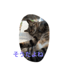 うちのねむりねこ 2（個別スタンプ：14）