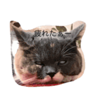 まつばーら（個別スタンプ：3）