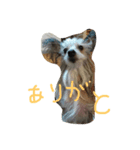 チャイクレ ペッパー（個別スタンプ：7）