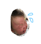 あおとあおと1（個別スタンプ：4）