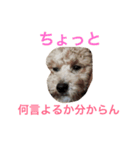 麟劉（個別スタンプ：1）