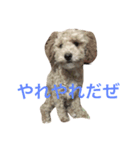 麟劉（個別スタンプ：2）