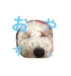 麟劉（個別スタンプ：4）
