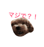 麟劉（個別スタンプ：6）