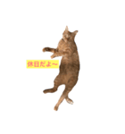 仕事中の猫が使う？！（個別スタンプ：2）