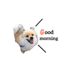 pomes（個別スタンプ：3）