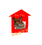 てんてんごんの日常（個別スタンプ：11）
