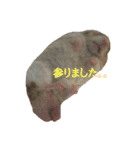 てんてんごんの日常（個別スタンプ：15）