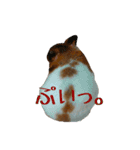 てんてんごんの日常（個別スタンプ：22）