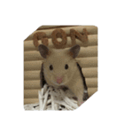 てんてんごんの日常（個別スタンプ：24）