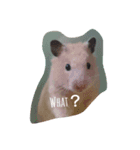 まつハム（個別スタンプ：4）