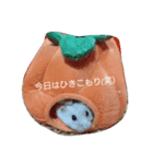まつハム（個別スタンプ：7）