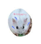 まつハム（個別スタンプ：8）
