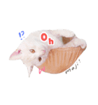 私の猫そら（個別スタンプ：12）
